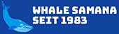 Die besten Buckelwalbeobachtungstouren in der Samana-Bucht, Dominikanische Republik